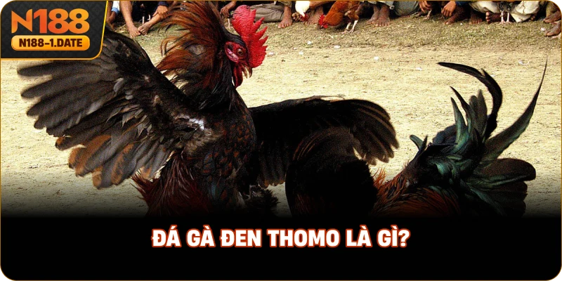 da-ga-den-thomo-la-gi