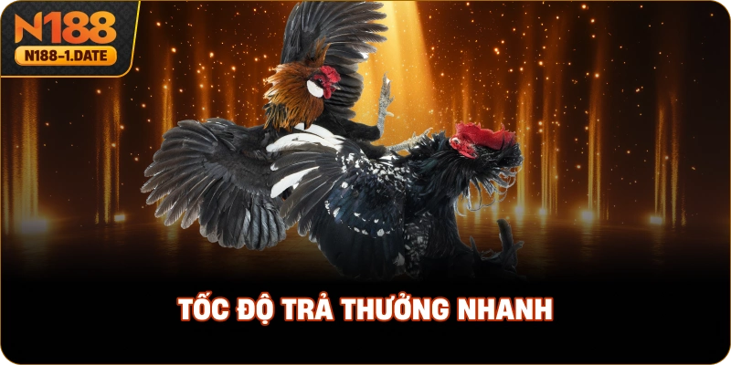 toc-do-tra-thuong-nhanh